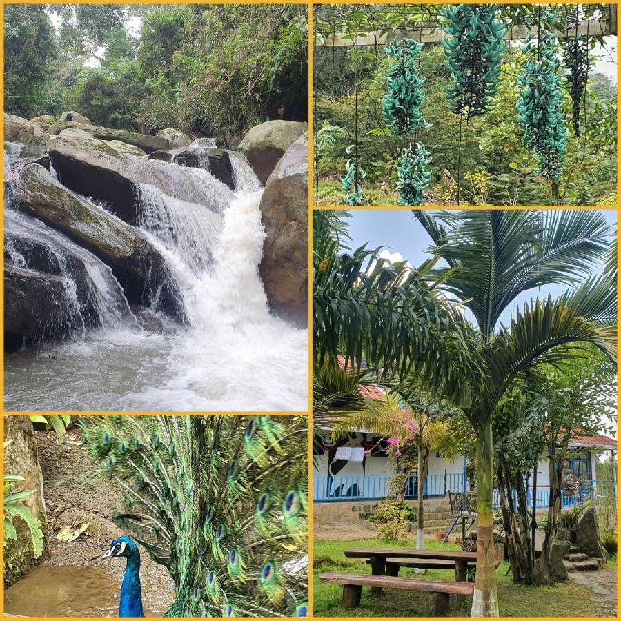 Finca Jardin Del Agua Sasaima Exteriör bild