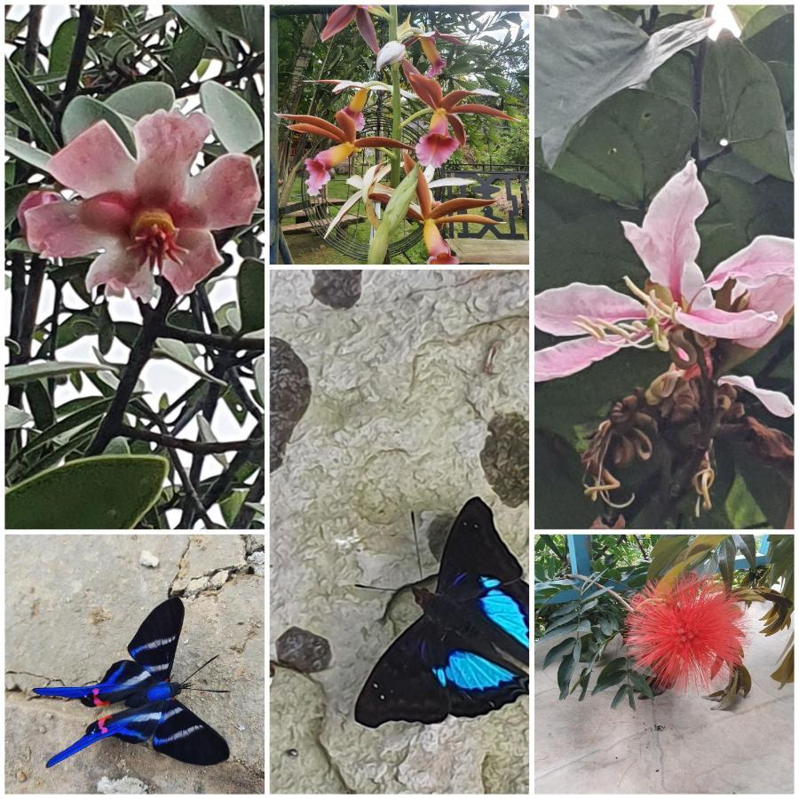 Finca Jardin Del Agua Sasaima Exteriör bild