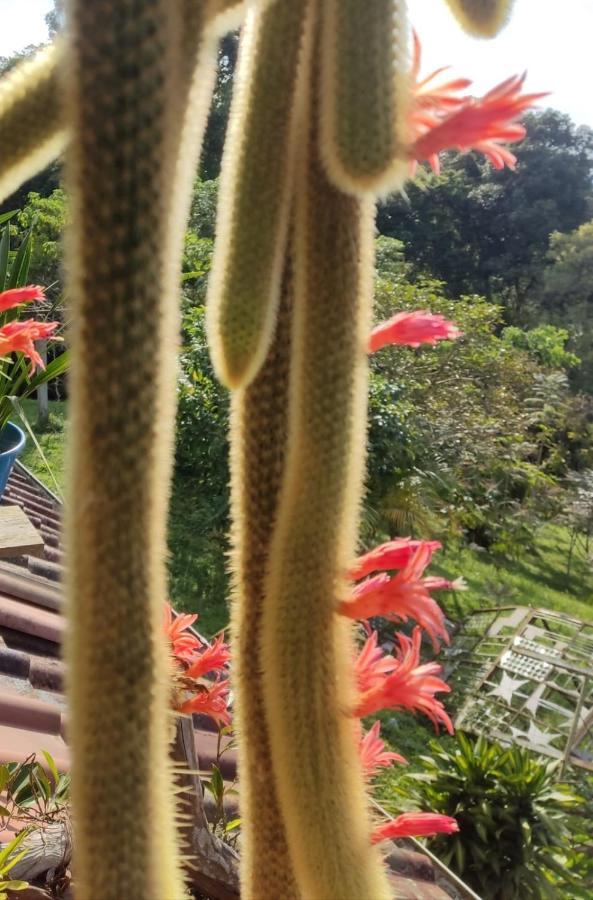 Finca Jardin Del Agua Sasaima Exteriör bild
