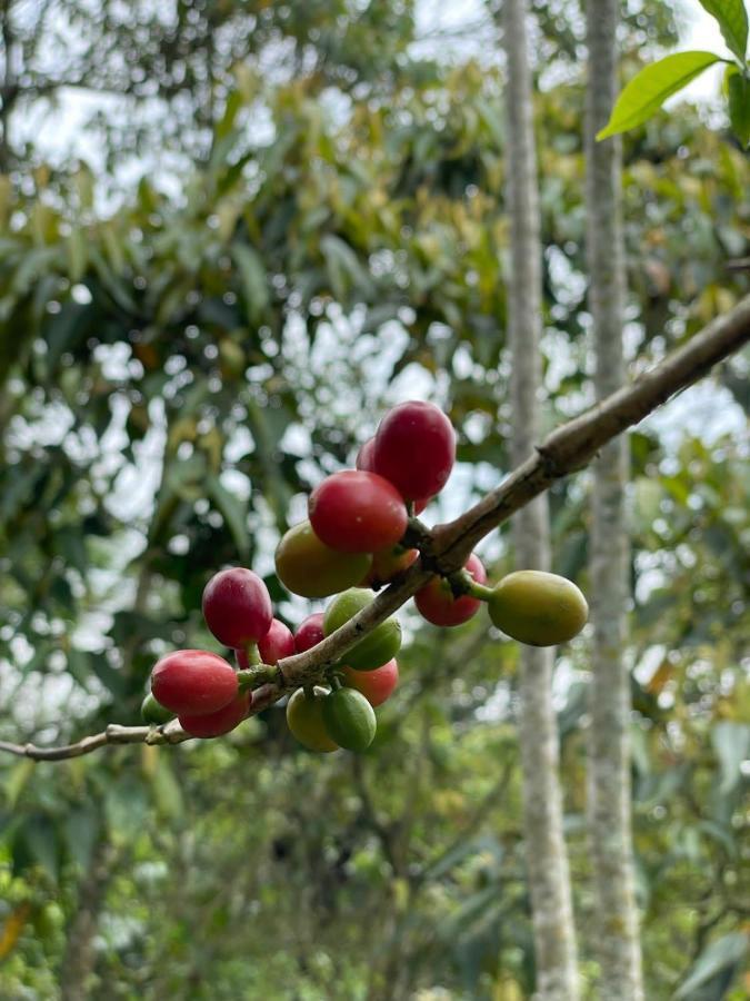 Finca Jardin Del Agua Sasaima Exteriör bild