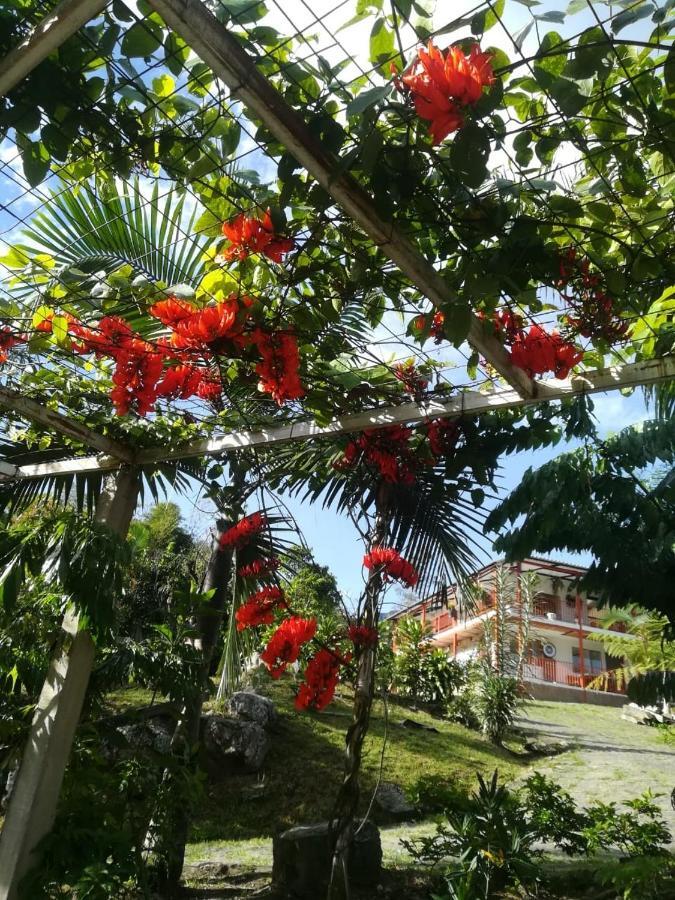 Finca Jardin Del Agua Sasaima Exteriör bild