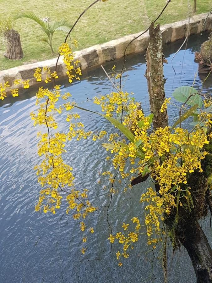 Finca Jardin Del Agua Sasaima Exteriör bild