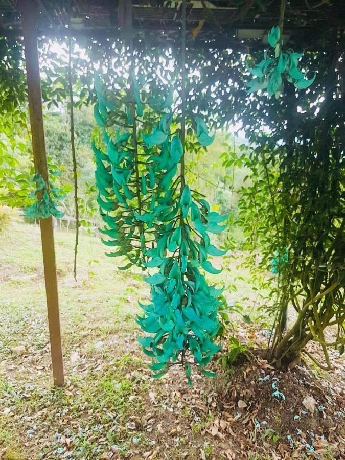 Finca Jardin Del Agua Sasaima Exteriör bild