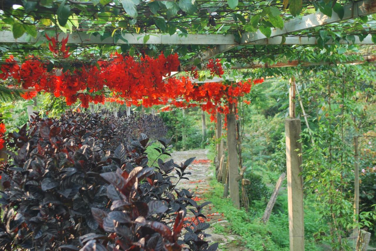 Finca Jardin Del Agua Sasaima Exteriör bild