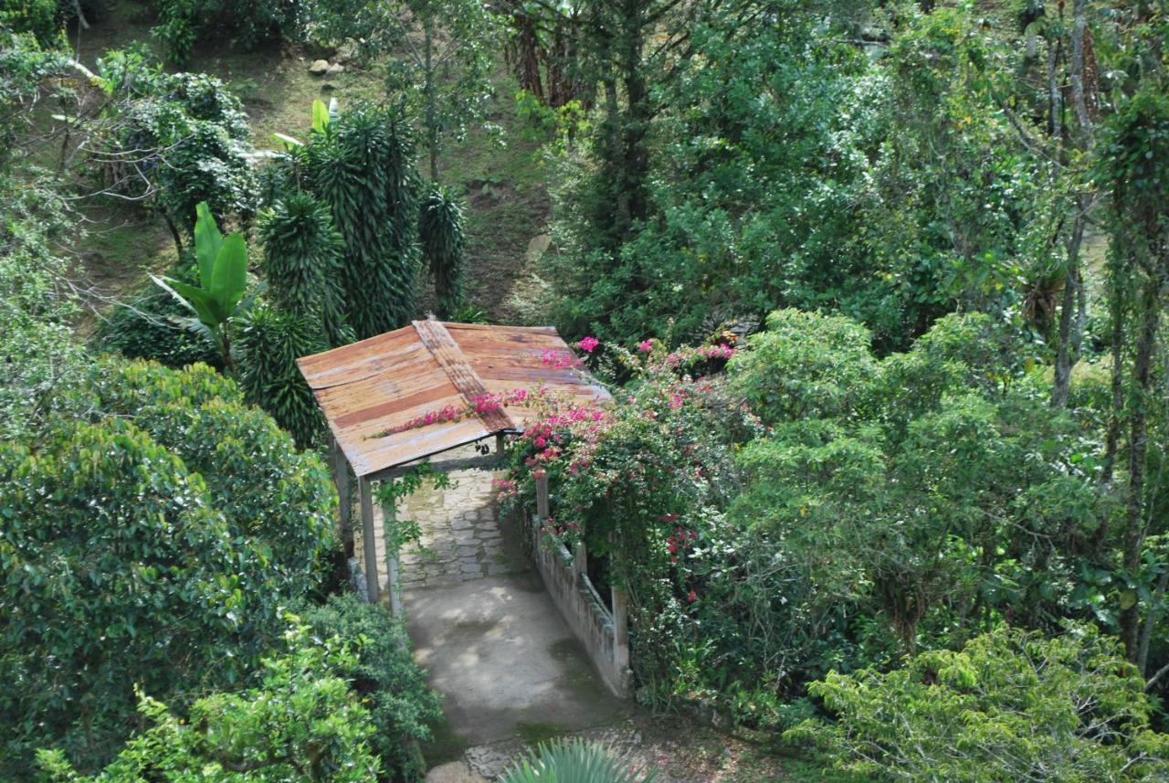 Finca Jardin Del Agua Sasaima Exteriör bild