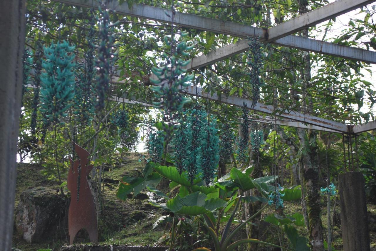 Finca Jardin Del Agua Sasaima Exteriör bild